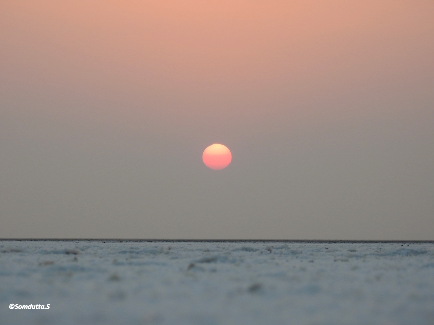 THE WHITE DESERT OF INDIA – RANN OF KUTCH! #TRAVELINDIA – Somdutta Blog